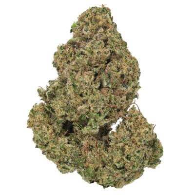 Chem De La Chem