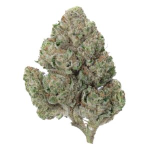 Afghan