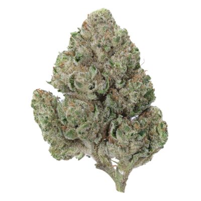 Afghan